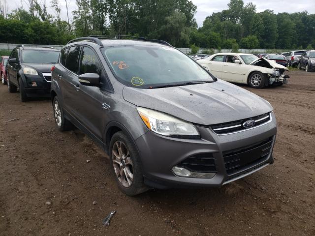 FORD ESCAPE SEL 2013 1fmcu0hx2dua46636