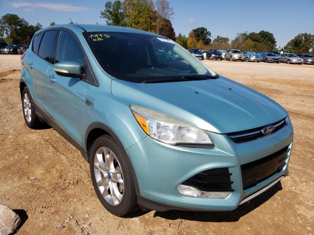 FORD ESCAPE SEL 2013 1fmcu0hx2dua88014