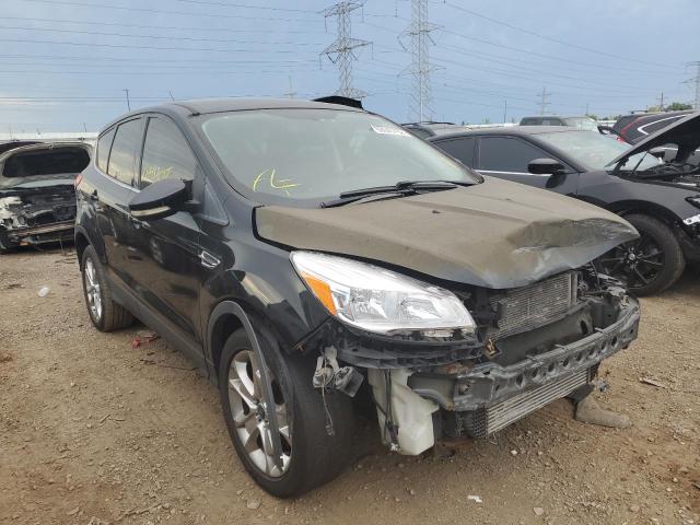 FORD ESCAPE SEL 2013 1fmcu0hx2dua88031