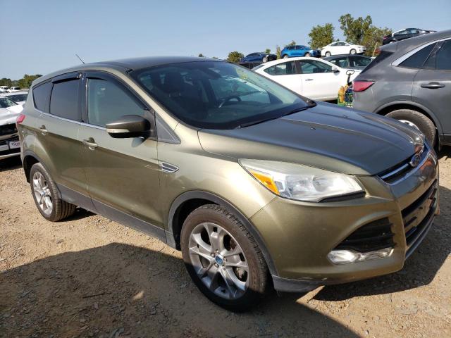 FORD ESCAPE SEL 2013 1fmcu0hx2dua95514