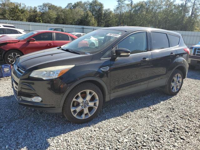 FORD ESCAPE SEL 2013 1fmcu0hx2dub03000