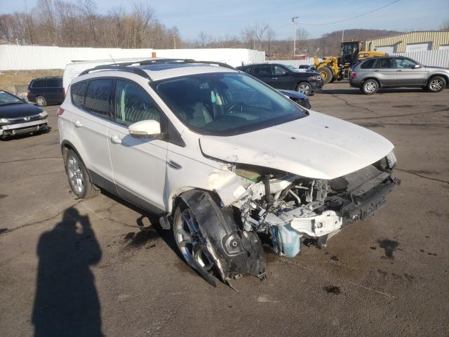 FORD ESCAPE SEL 2013 1fmcu0hx2dub78490