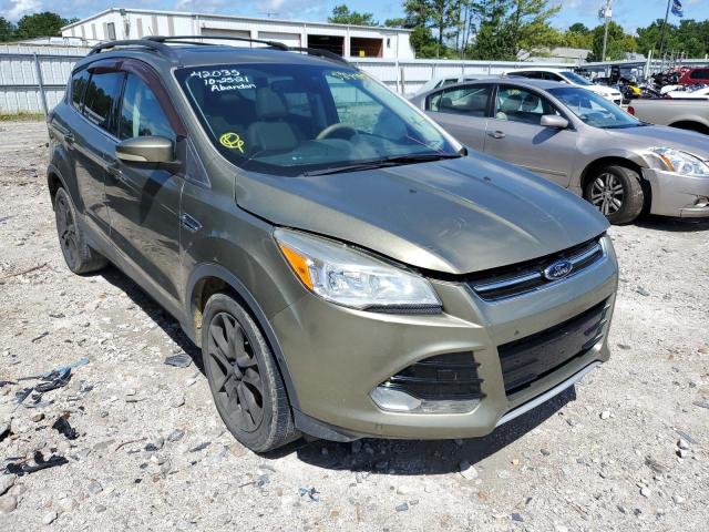 FORD ESCAPE SEL 2013 1fmcu0hx2duc08720