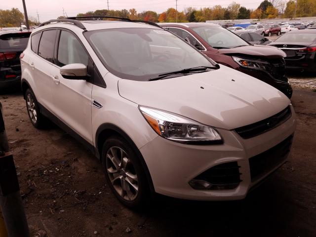 FORD ESCAPE SEL 2013 1fmcu0hx2duc32502