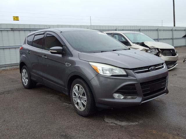 FORD ESCAPE SEL 2013 1fmcu0hx2dud12110