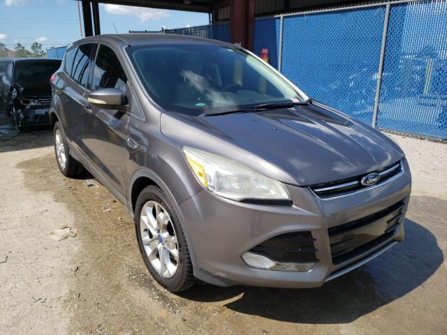 FORD ESCAPE SEL 2013 1fmcu0hx2dud19378