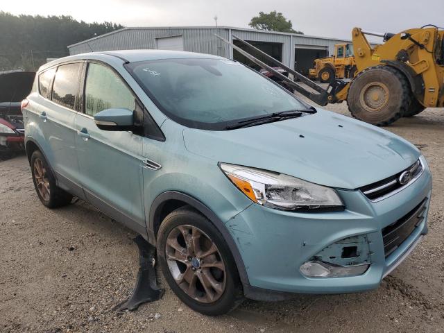 FORD ESCAPE SEL 2013 1fmcu0hx3dub02888