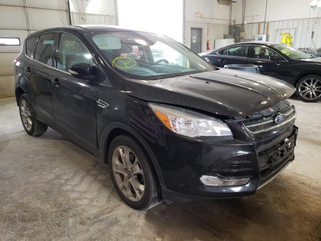 FORD ESCAPE SEL 2013 1fmcu0hx3duc80428