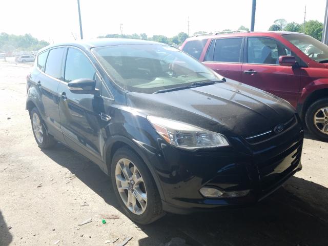 FORD ESCAPE SEL 2013 1fmcu0hx3dud41924