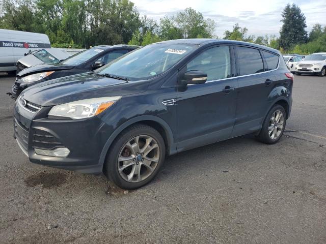 FORD ESCAPE SEL 2013 1fmcu0hx4dub03015