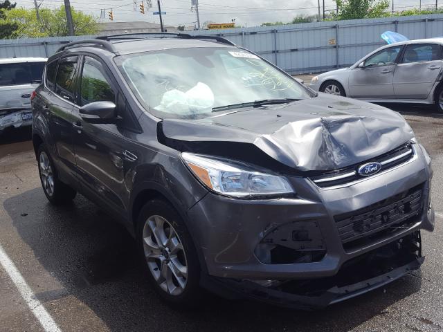 FORD ESCAPE SEL 2013 1fmcu0hx4dub81195