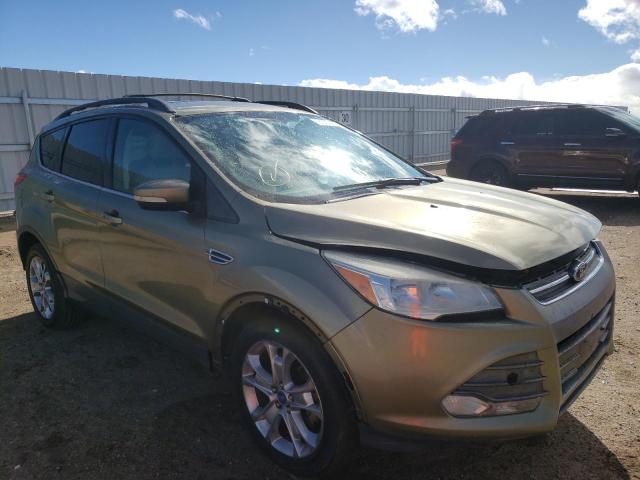 FORD ESCAPE SEL 2013 1fmcu0hx4duc15653