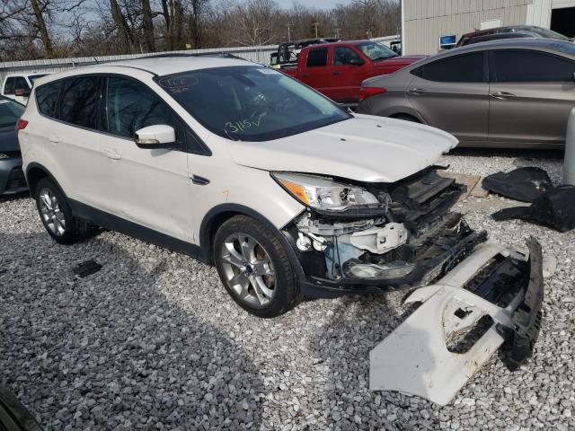 FORD ESCAPE SEL 2013 1fmcu0hx4duc49365