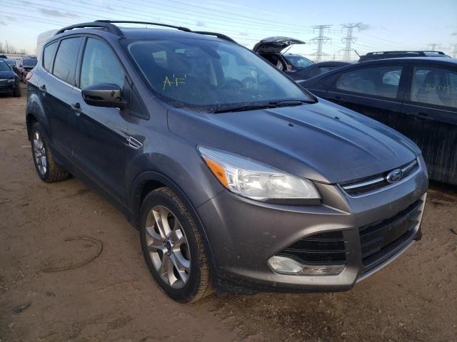 FORD ESCAPE SEL 2013 1fmcu0hx4duc69745