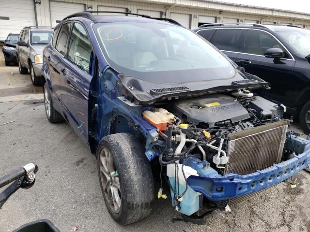 FORD ESCAPE SEL 2013 1fmcu0hx4duc77604