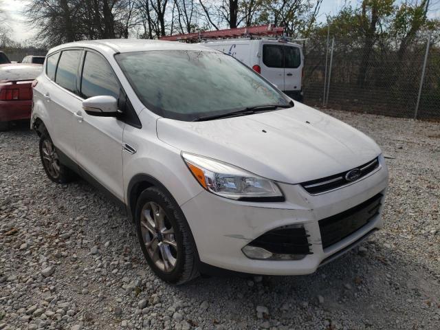 FORD ESCAPE SEL 2013 1fmcu0hx4dud52429