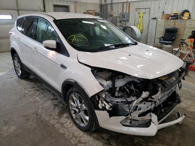 FORD ESCAPE SEL 2013 1fmcu0hx4dud71787