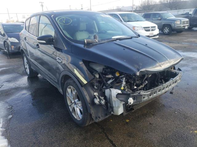 FORD ESCAPE SEL 2013 1fmcu0hx5dub01936