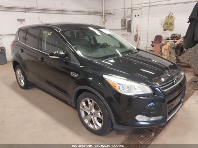 FORD ESCAPE 2013 1fmcu0hx5dub03007