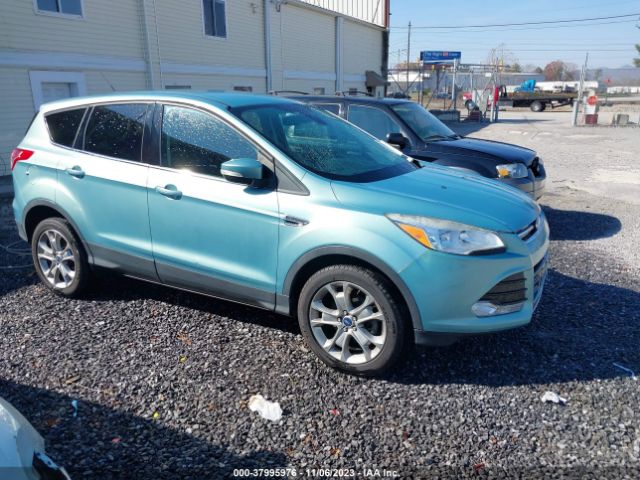 FORD ESCAPE 2013 1fmcu0hx5dub20695