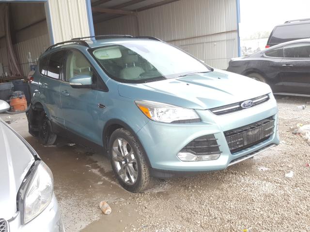 FORD ESCAPE SEL 2013 1fmcu0hx5duc14107