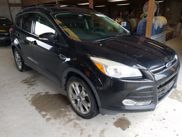 FORD ESCAPE SEL 2013 1fmcu0hx5dud85553