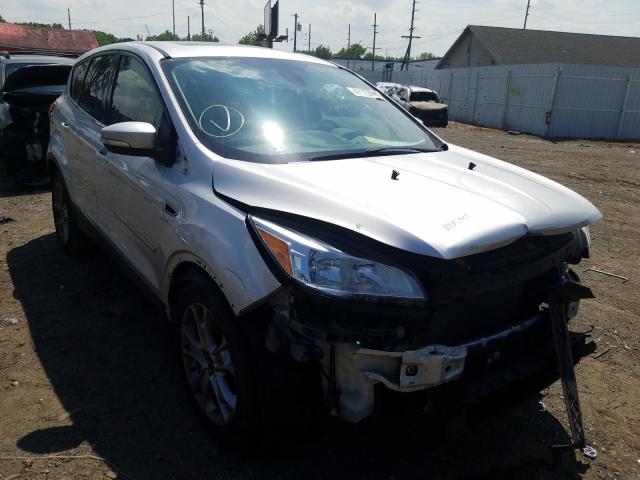 FORD ESCAPE SEL 2013 1fmcu0hx6dua38538