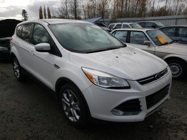 FORD ESCAPE SEL 2013 1fmcu0hx6dua81521