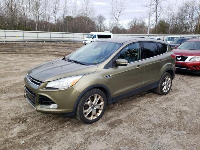 FORD ESCAPE SEL 2013 1fmcu0hx6dua87979