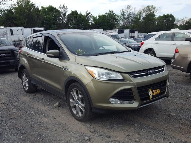 FORD ESCAPE SEL 2013 1fmcu0hx6dub12816