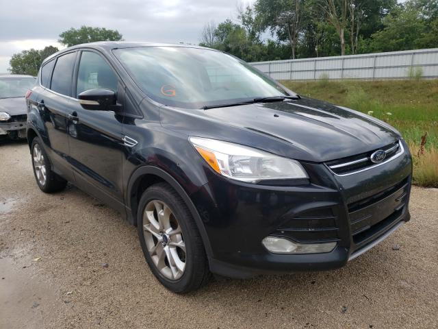 FORD ESCAPE SEL 2013 1fmcu0hx6dub44245