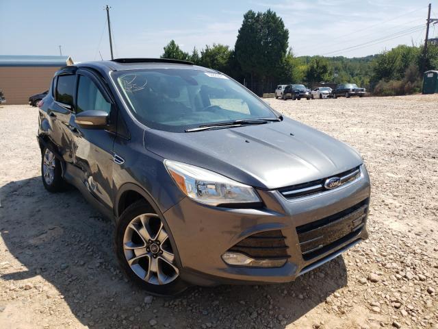 FORD ESCAPE SEL 2013 1fmcu0hx6dub53821