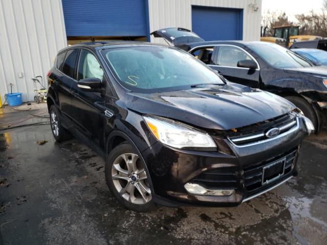 FORD ESCAPE SEL 2013 1fmcu0hx6dub59490