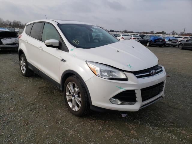 FORD ESCAPE SEL 2013 1fmcu0hx6dub84065