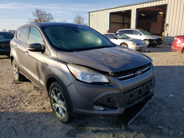 FORD ESCAPE SEL 2013 1fmcu0hx6duc49125