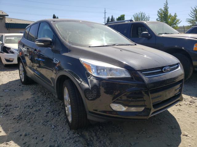 FORD ESCAPE SEL 2013 1fmcu0hx7dua48513