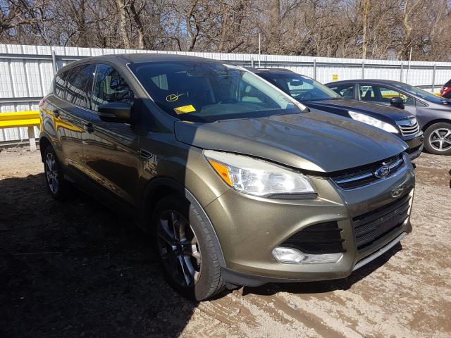 FORD ESCAPE SEL 2013 1fmcu0hx7dua88462