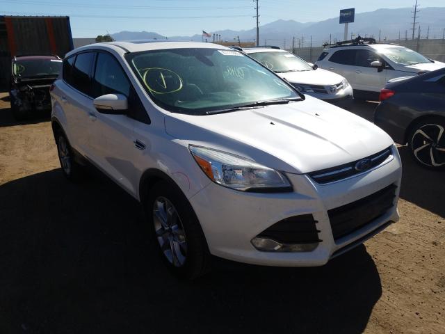 FORD ESCAPE SEL 2013 1fmcu0hx7dub63855