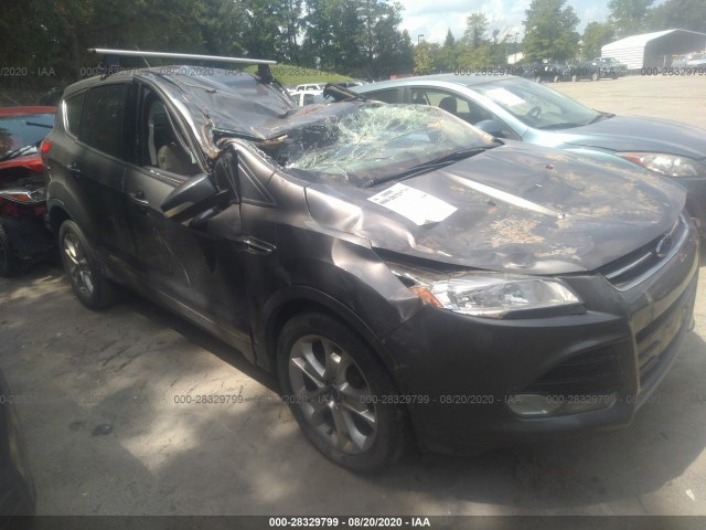 FORD ESCAPE 2013 1fmcu0hx7dud31350