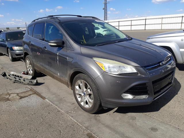 FORD ESCAPE SEL 2013 1fmcu0hx8dua53400