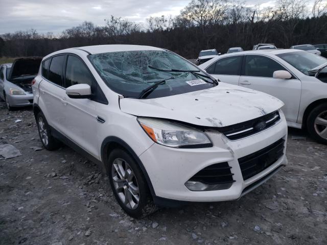 FORD ESCAPE SEL 2013 1fmcu0hx8dua88065