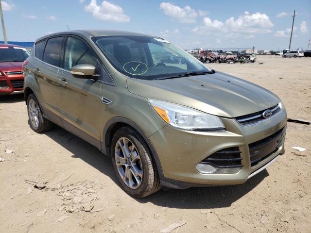 FORD ESCAPE SEL 2013 1fmcu0hx8dua88132