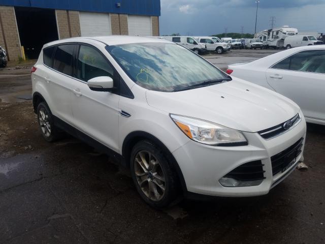 FORD ESCAPE SEL 2013 1fmcu0hx8dub65985