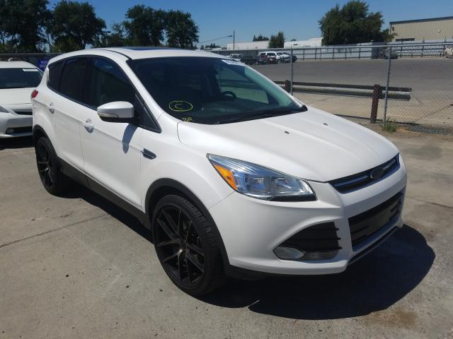 FORD ESCAPE SEL 2013 1fmcu0hx8dub84021