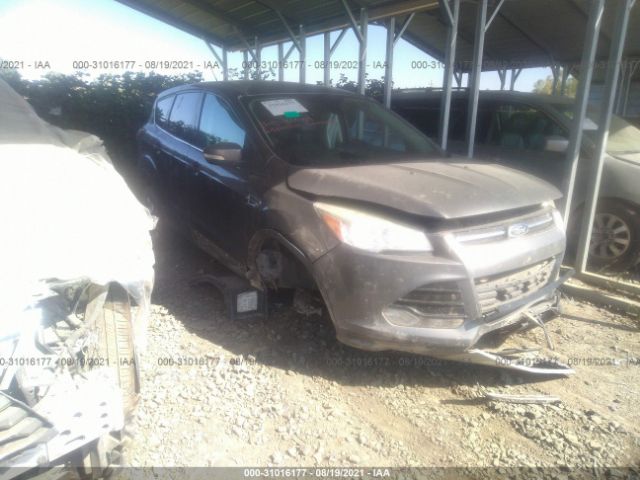 FORD ESCAPE 2013 1fmcu0hx8duc25005