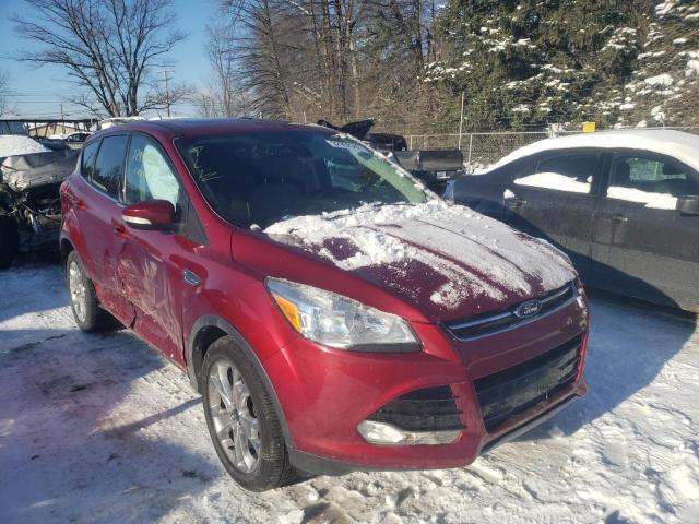 FORD ESCAPE 2013 1fmcu0hx8dud01094