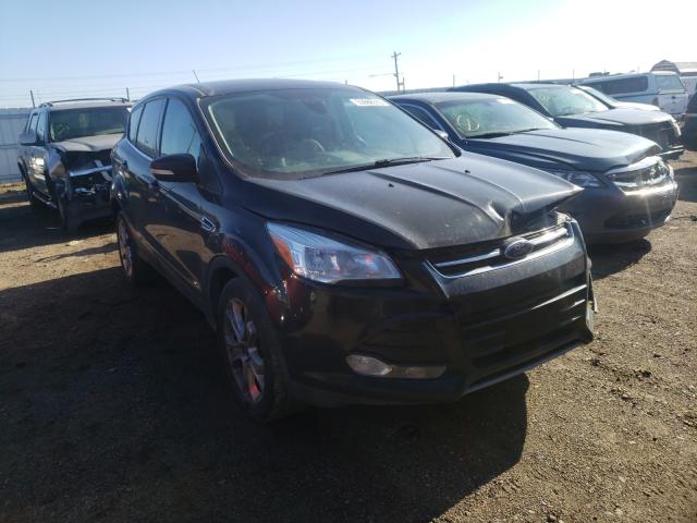 FORD ESCAPE SEL 2013 1fmcu0hx8dud11107