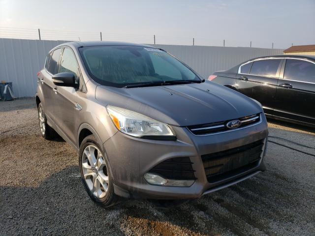 FORD ESCAPE SEL 2013 1fmcu0hx9dua75227