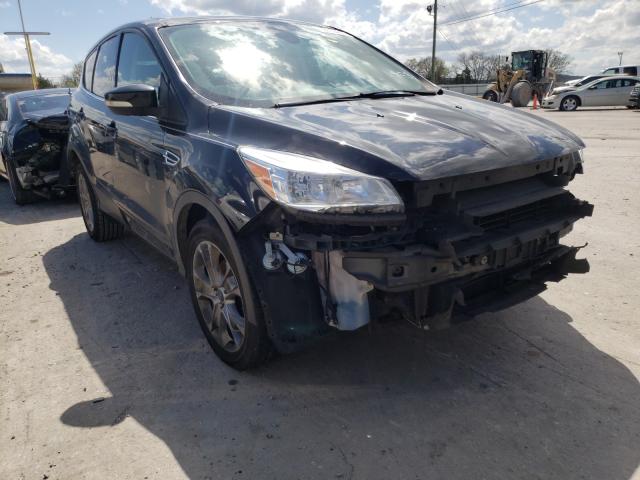 FORD ESCAPE SEL 2013 1fmcu0hx9dub22353