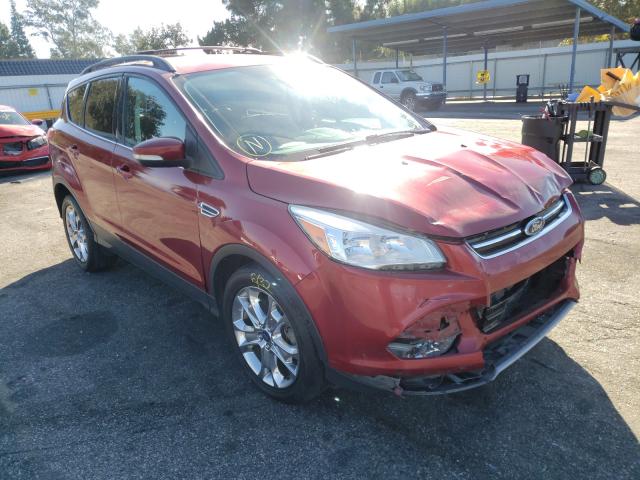 FORD ESCAPE SEL 2013 1fmcu0hxxdua53379